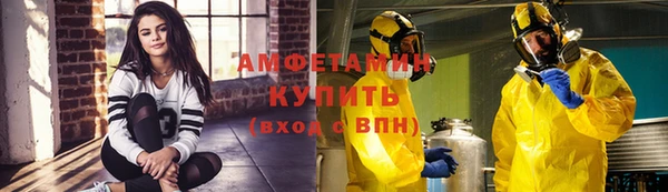 гашик Няндома