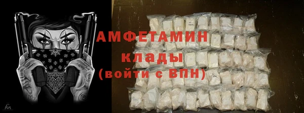 гашик Няндома