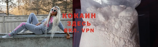 гашик Няндома