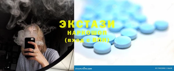гашик Няндома