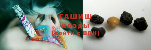 гашик Няндома