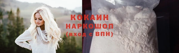 индика Дубовка