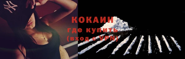 гашик Няндома