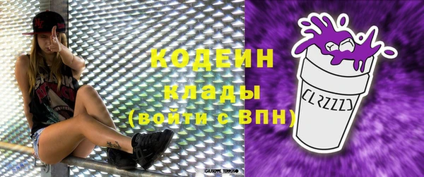 гашик Няндома
