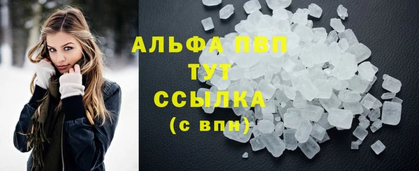 гашик Няндома