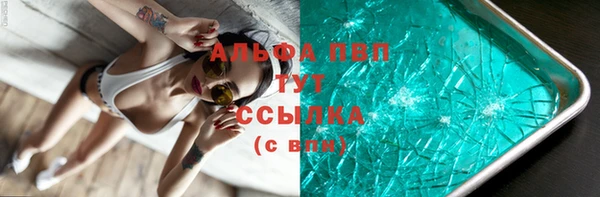 гашик Няндома