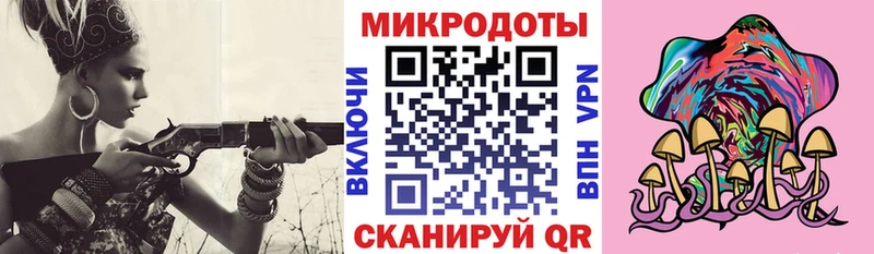 блэк спрут ссылка  Щёлкино  Псилоцибиновые грибы MAGIC MUSHROOMS  где купить наркоту 